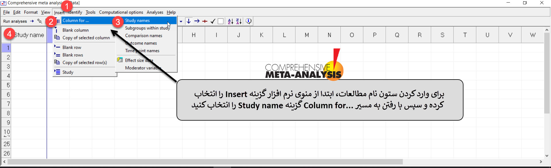 کارگاه فراتحلیل cma ,آموزش فراتحلیل با cma ,دانلود کرک رایگان نرم افزار Comprehensive Meta-Analysis (CMA)